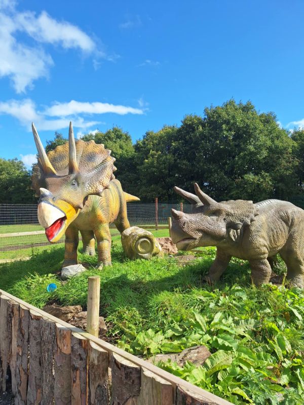 dinosaurs jurassic newpark kilkenny