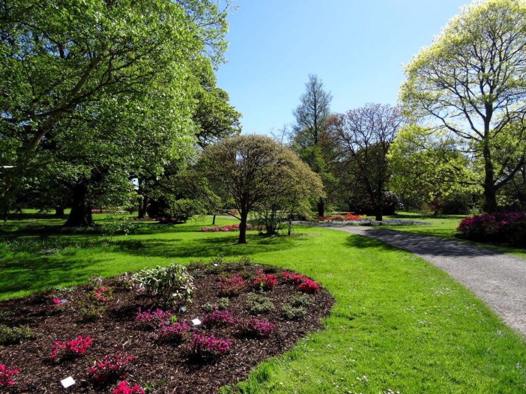 blarney castle gardens in the summer