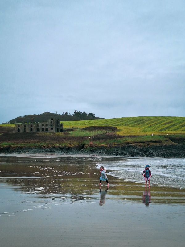 howes strand west cork
