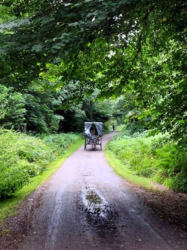 jaunting car killarney np