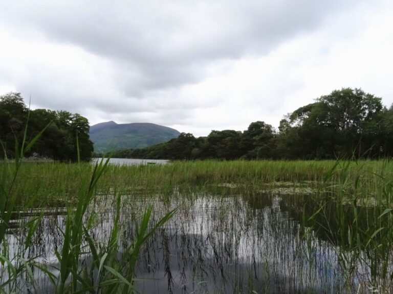 killarney lake killarney national park