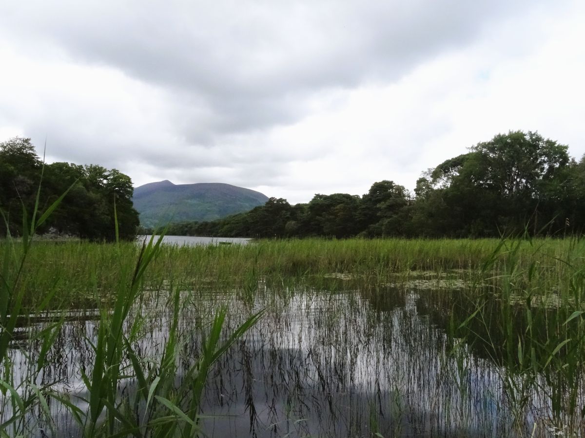 killarney lake killarney national park