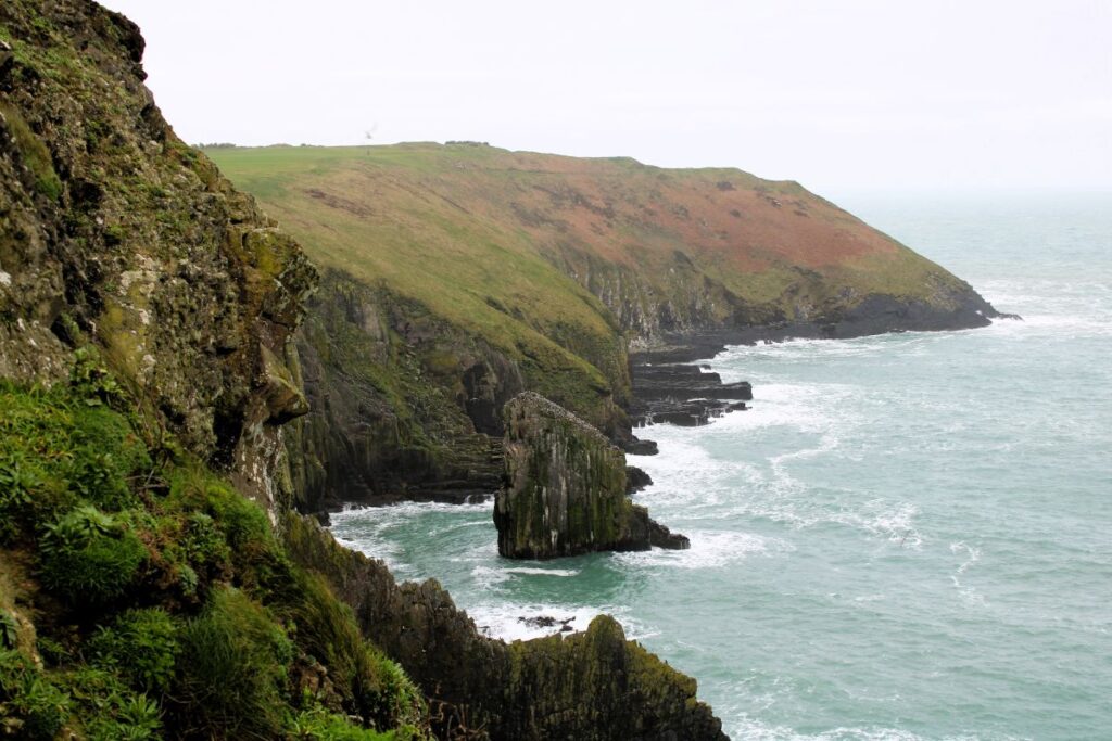 old head of kinsale