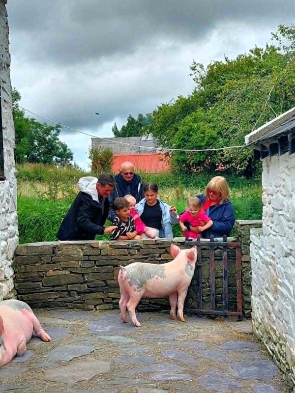 pig family farm killarney national park