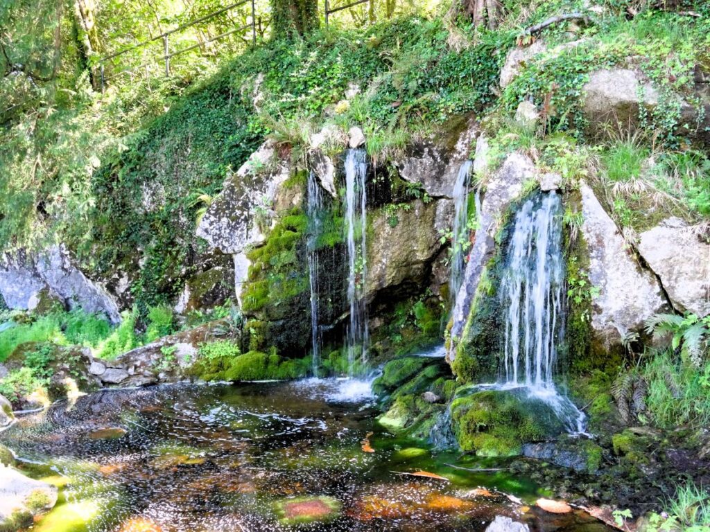 section of rockery blarney gardens