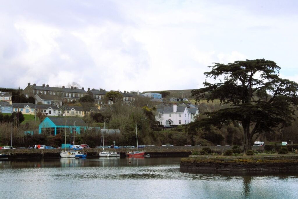 tree kinsale harbor