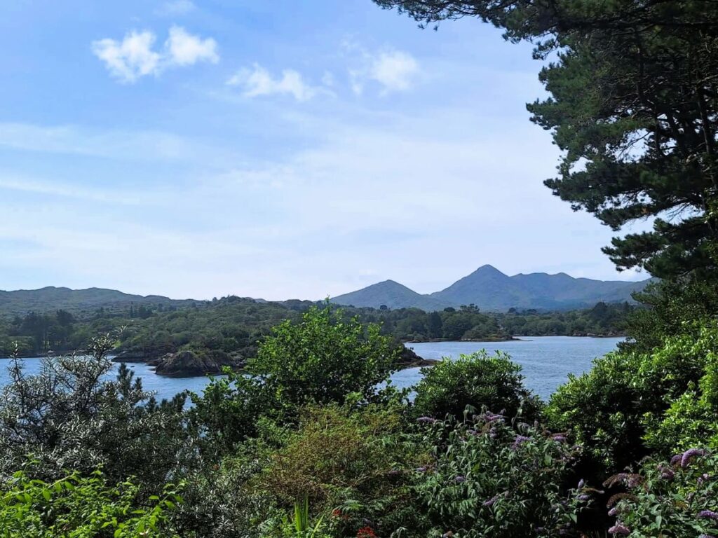 view from martello tower