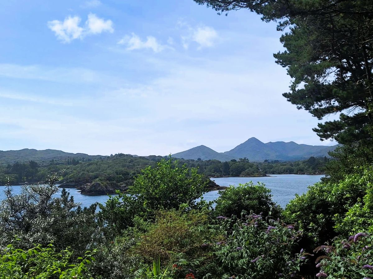 view from martello tower