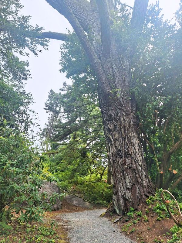 walkway garnish island