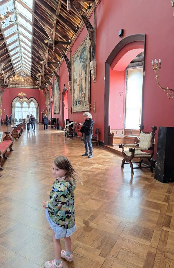 library kilkenny castle