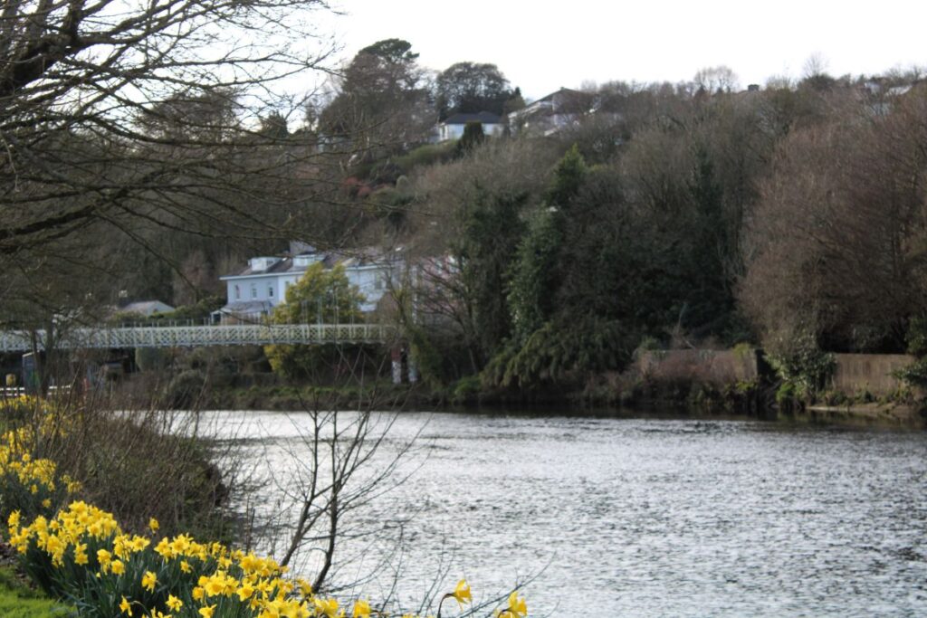 shakey bridge
