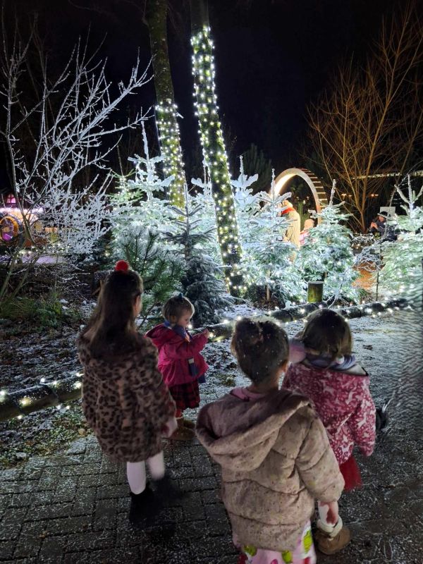 lights center parcs ireland christmas