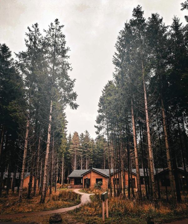 lodge at center parcs ireland