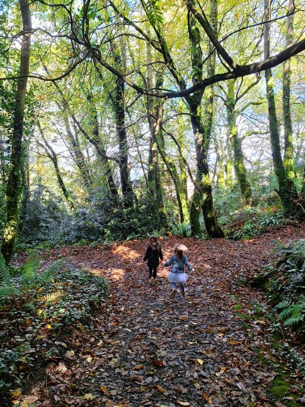 autumn bantry house
