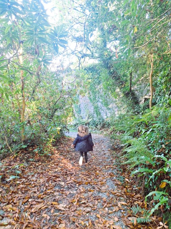 autumn bantry house path