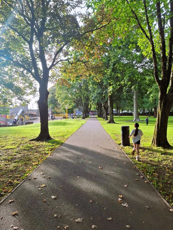 tree lined path fitzgeralds park fall